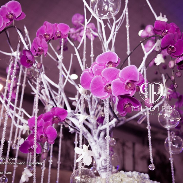 Các Xu Hướng Trang Trí Bàn Đón Khách Trong Tiệc Cưới             