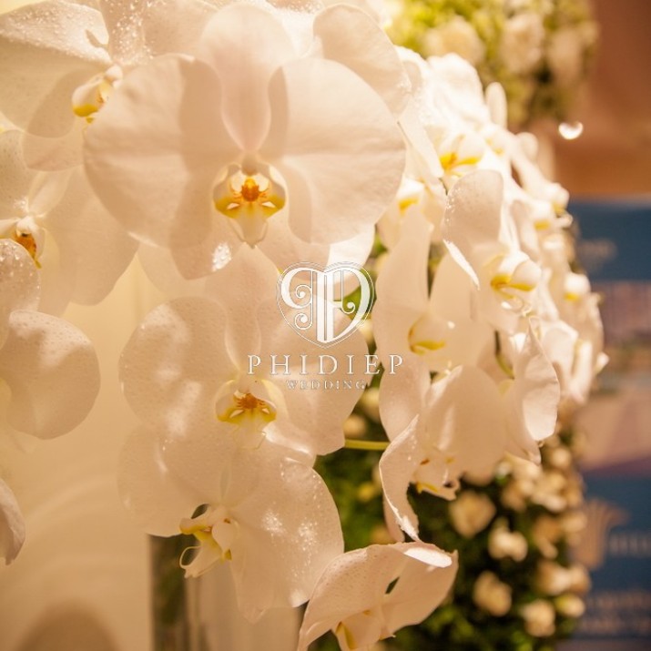 Cân Nhắc Khi Lựa Chọn Hoa Tươi Hay Hoa Lụa Cho Đám Cưới               