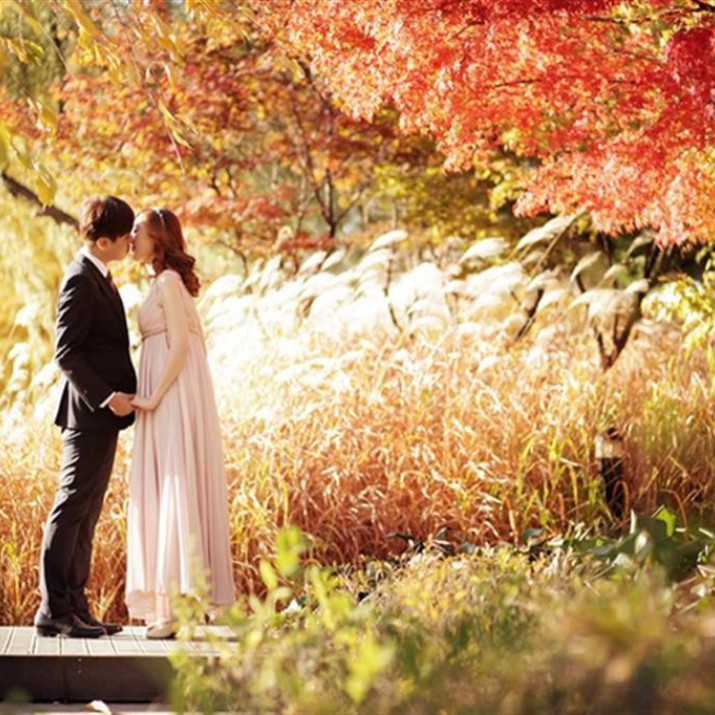 Tổ Chức Tiệc Cưới Lãng Mạn Mùa Thu            