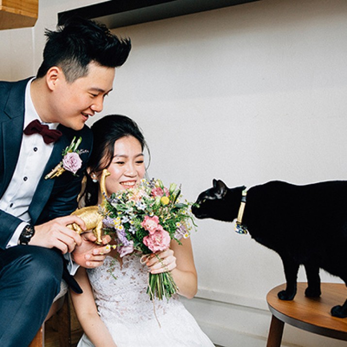 Đám Cưới Cực Dễ Thương Tại Quán Cà Phê Mèo Của Cặp Đôi 8x                      