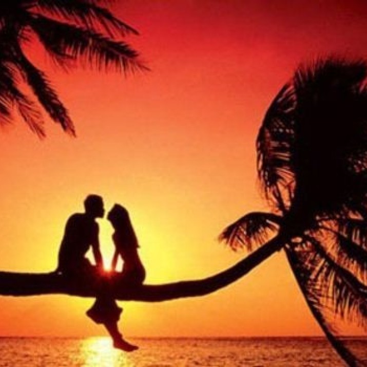 Những Việc Nên Làm Trong Tuần Trăng Mật Lãng Mạn             