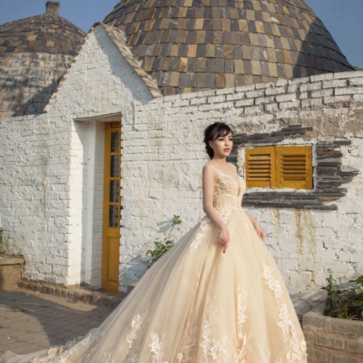 Những Mẫu Thiết Kế Váy Cưới Đính Hoa Nổi Gợi Cảm Cho Các Nàng Dâu                      