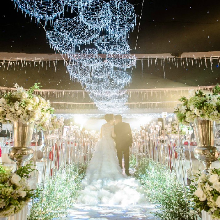 Những Đám Cưới Tiền Tỉ Gây Xôn Xao Của Đại Gia Việt                   