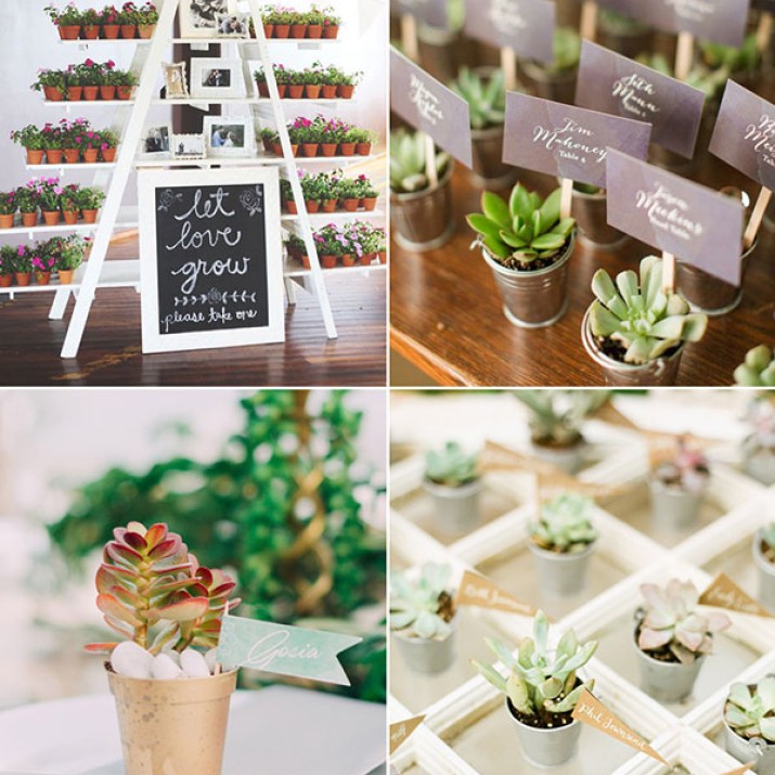 Trang Trí Tiệc Cưới Mùa Xuân Với Hoa Sen Đá Tươi Mát              