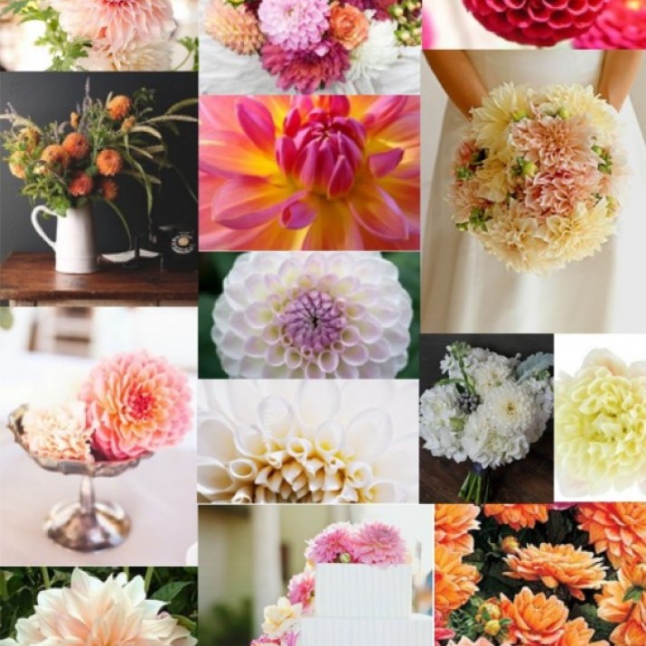 Tổ Chức Đám Cưới Lãng Mạn Và Ấn Tượng Với Hoa Thược Dược                         