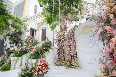 Grand Opening JoliPoli Hn - Maison de Rose