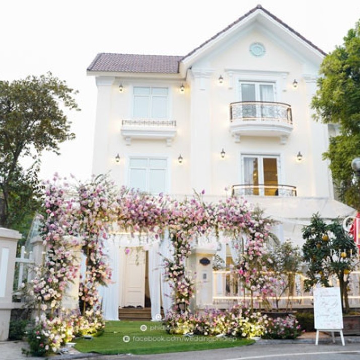 Dịch Vụ Trang Trí Ăn Hỏi Chuyên Nghiệp          