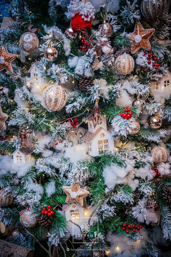 Tổ Chức Sự Kiện Noel - Phi Điệp Wedding